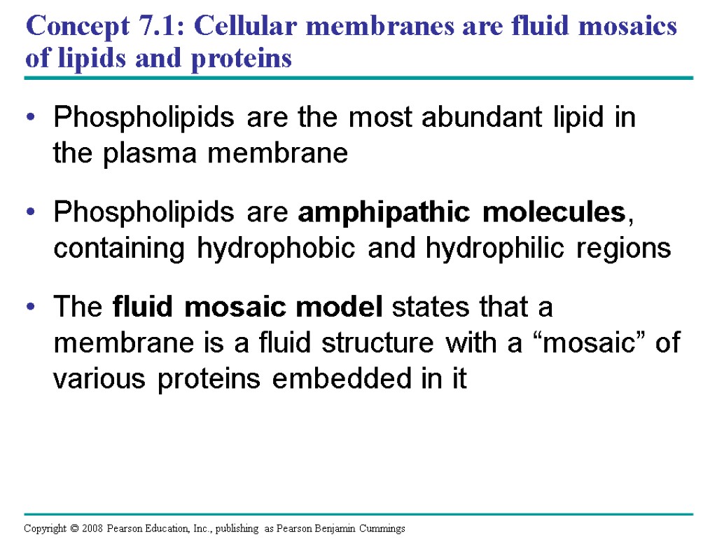 Concept 7.1: Cellular membranes are fluid mosaics of lipids and proteins Phospholipids are the